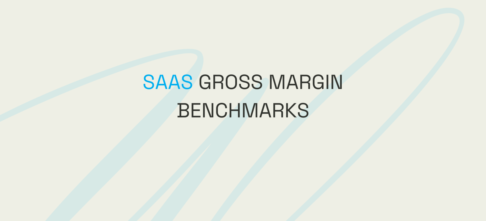 SaaS Gross Margin Benchmarks: How to Align Your Business with Industry Standards