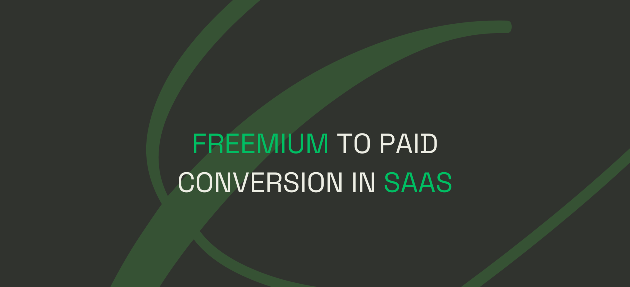 Maximizing Freemium to Paid Conversion Rates in SaaS Businesses